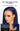 Description Midnight Blue 13x6 Glueless Wig Only Takes 3 Steps To Install